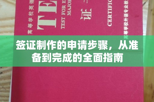 营口签证制作的申请步骤，从准备到完成的全面指南